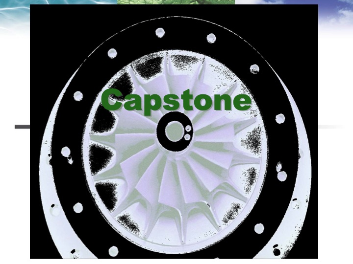 capstone-turbine-earthwise-energy-technologies-002