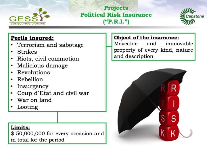 gess-consulting-ukraine-presents-private-co-generation-bioma-034