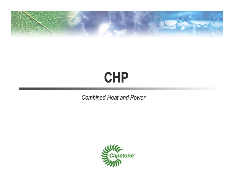 microturbine-energy-solutions-the-chp-industry-003