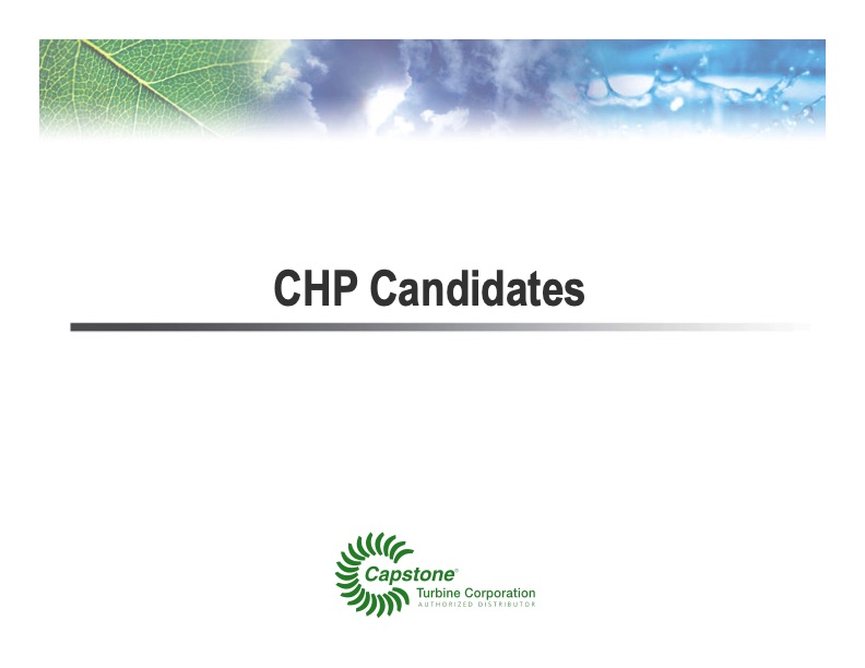 microturbine-energy-solutions-the-chp-industry-041