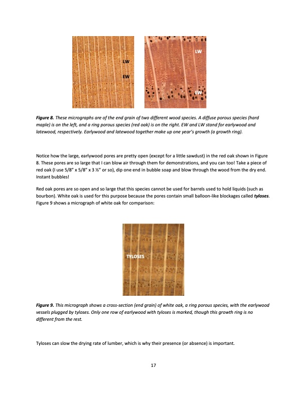hardwood-dry-kiln-operation-manual-for-operators-small-dry-k-017