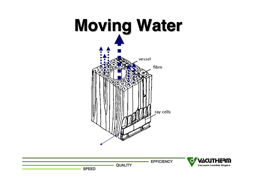 vacuum-lumber-drying-parker-008